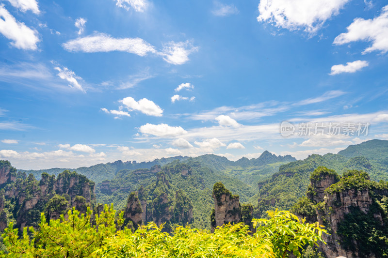 中国湖南张家界景区奇特山峰与茂密森林