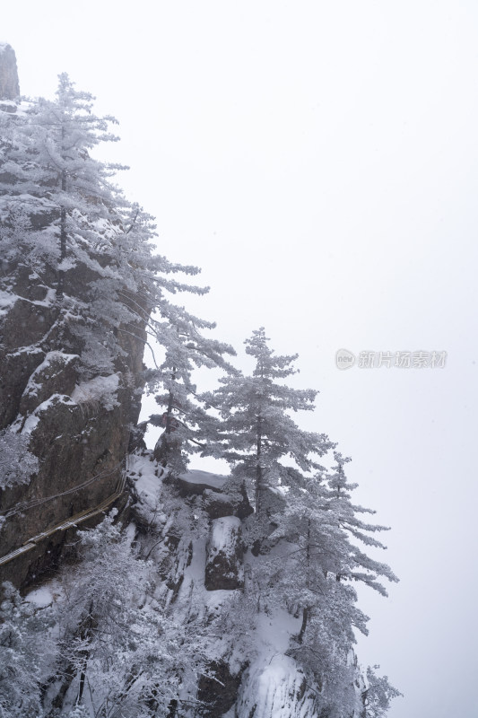 老君山下雪大山森林雾凇景观