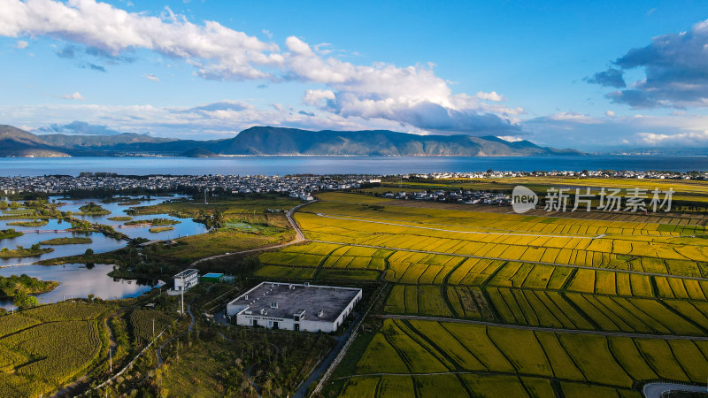 云南大理苍山洱海和万亩稻田