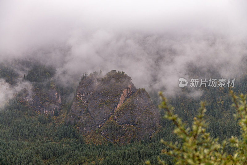 云雾缭绕的森林山峰