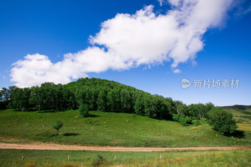 内蒙,坝上,乌兰木统,乌兰木统草原,红山,军马场,草原,草地,