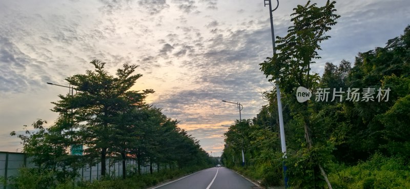 林间公路景色 天空云彩相伴