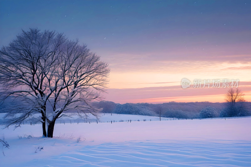 冬天风景大雪背景