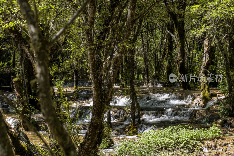 山涧溪流流淌溅起白色水花