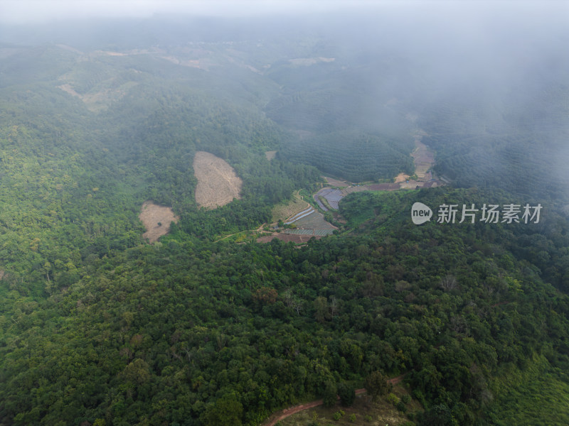 云雾笼罩下的葱郁山林鸟瞰全景