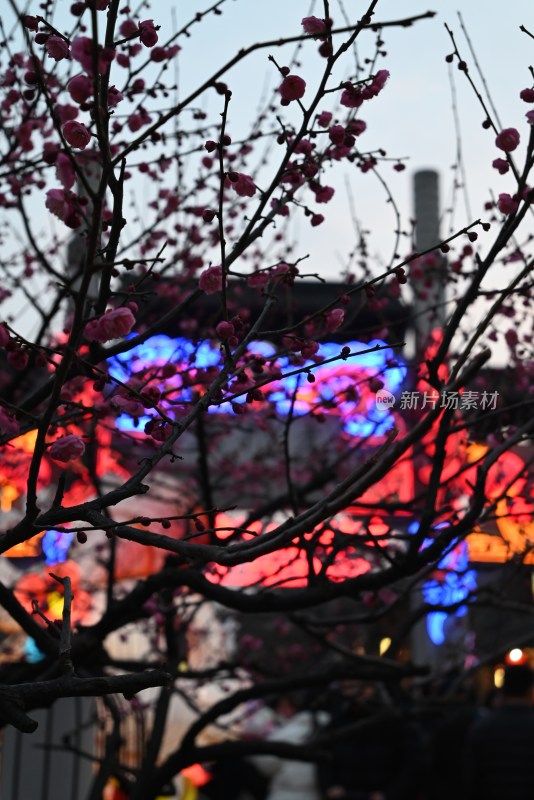 繁花与彩色灯光夜景