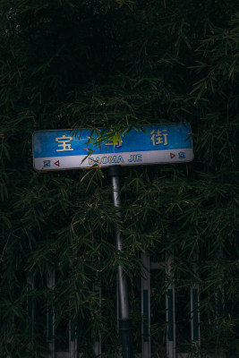 路边竹林旁的指路牌