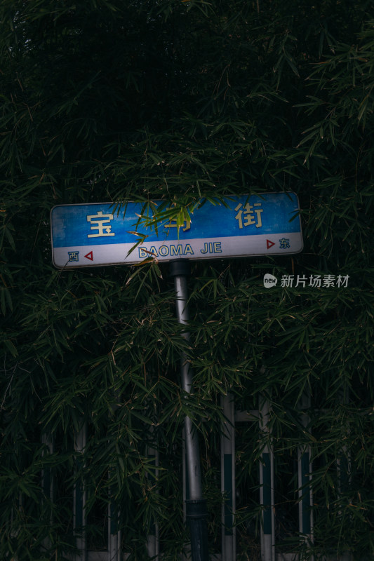 路边竹林旁的指路牌