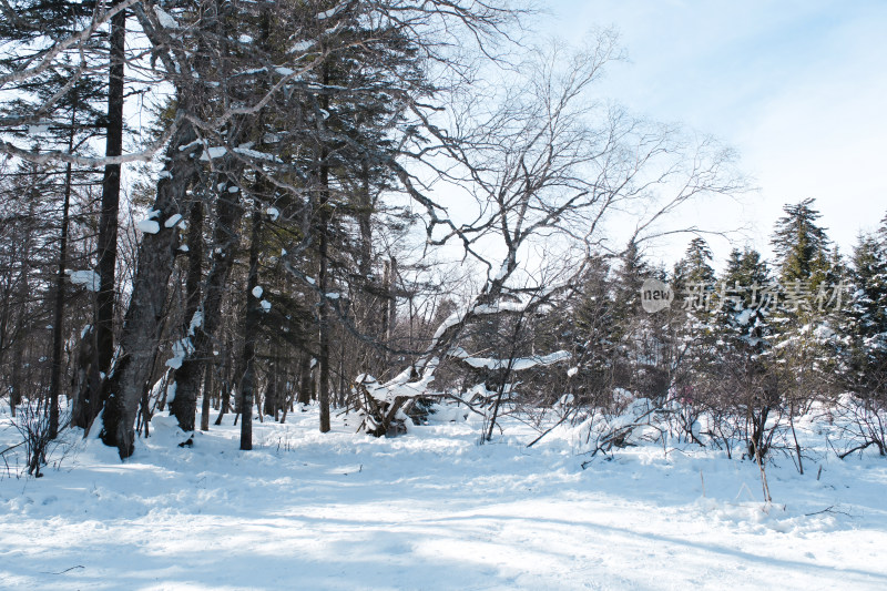 长白山雪岭冬日风光