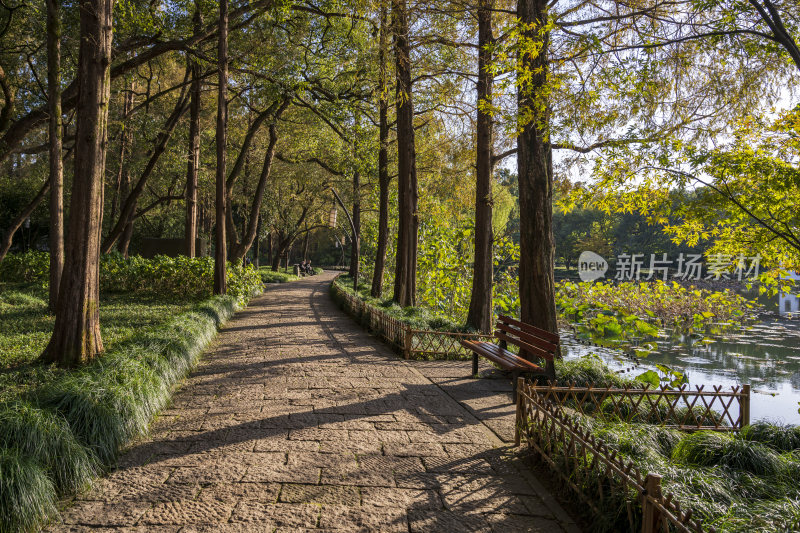 杭州西湖风景区曲院风荷风景