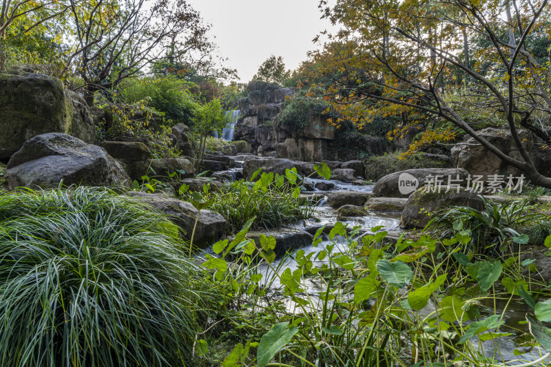 杭州西子湖畔杭州花圃风景