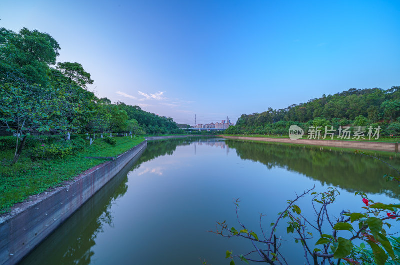 广州番禺金山湖文化公园湖泊树林夕阳落日