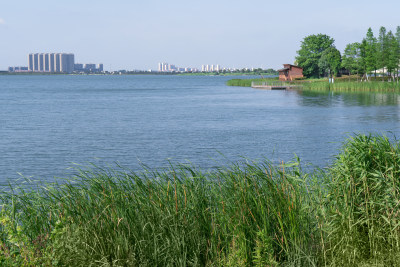 晴朗天气公园景观