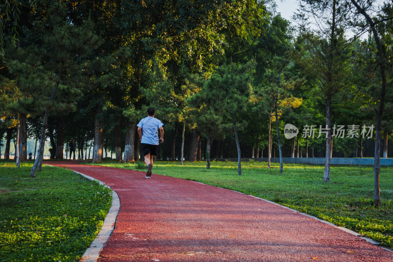 清晨森林中阳光下的跑步者