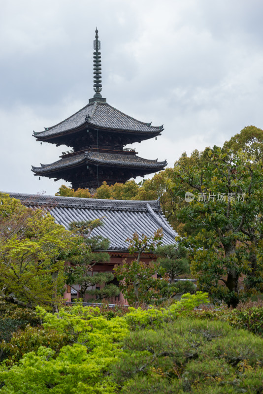 日本奈良古建筑