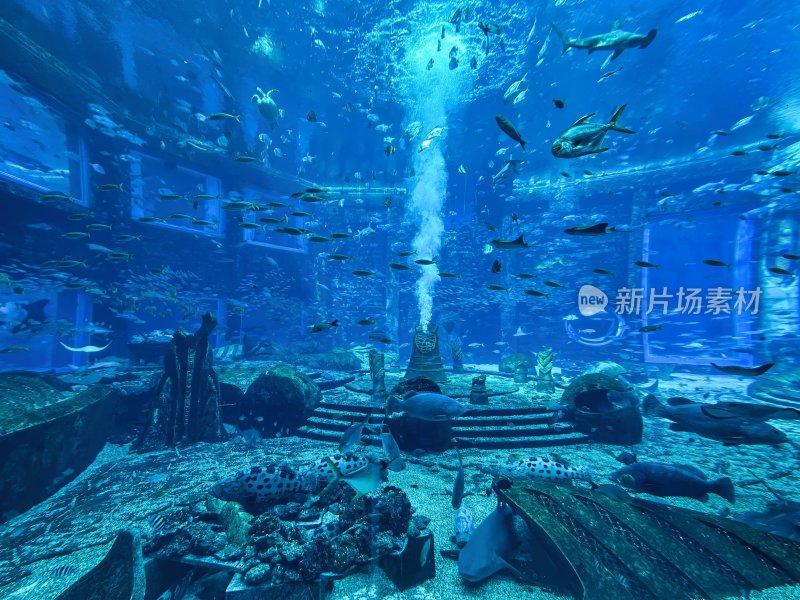 三亚亚特兰蒂斯酒店的水族馆