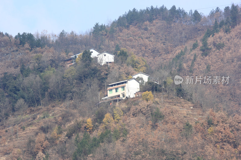 冬天四川广元朝天区大滩镇的山区山村风光