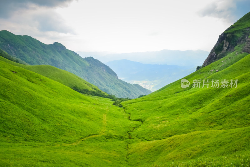 江西武功山高山草甸