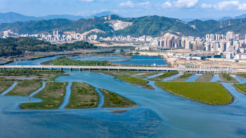 惠州市盐洲海洋湿地公园-红树林航拍