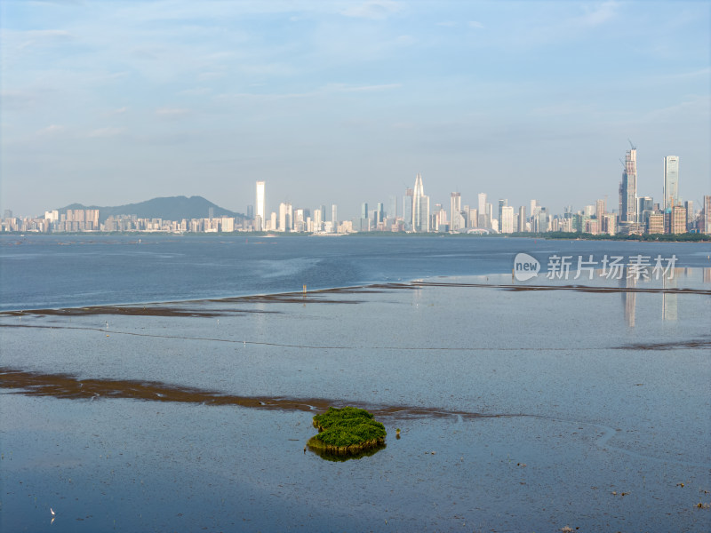 深圳湾公园