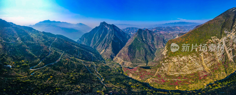 三峡红叶