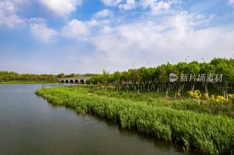 天津海河教育园区湿地公园自然风光航拍