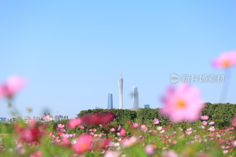 广州城市高楼建筑景观