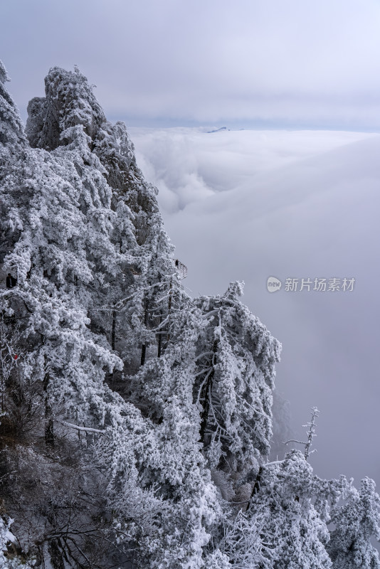 寒冷冬季大雪冰冻雾凇