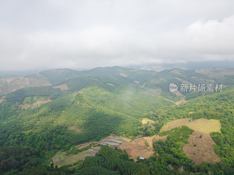 云雾笼罩下的葱郁山林鸟瞰全景