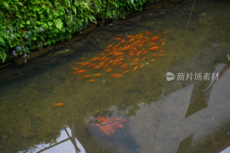 婺源风景