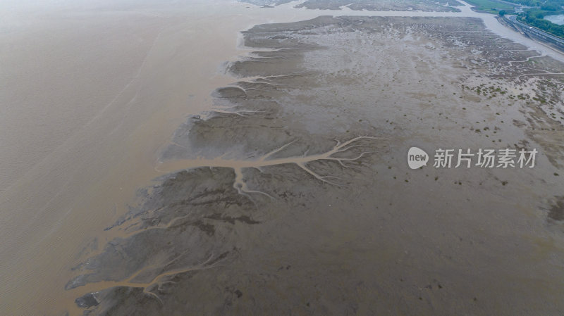 杭州市钱塘江钱江潮潮汐树大地之树航拍