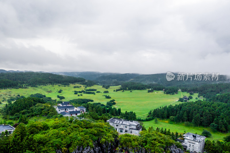 重庆武隆仙女山森林公园