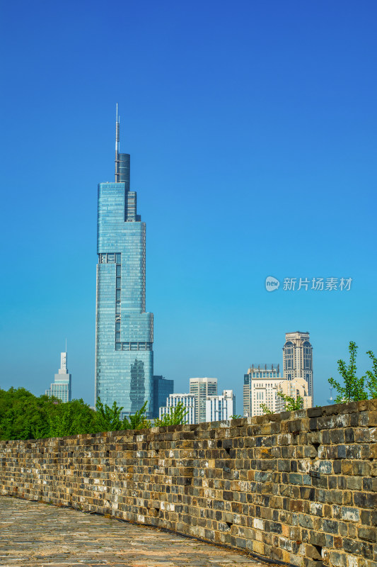 江苏南京紫峰大厦