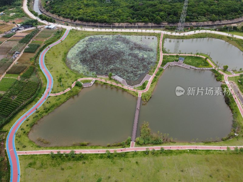 广东东莞：契爷石水库湿地公园