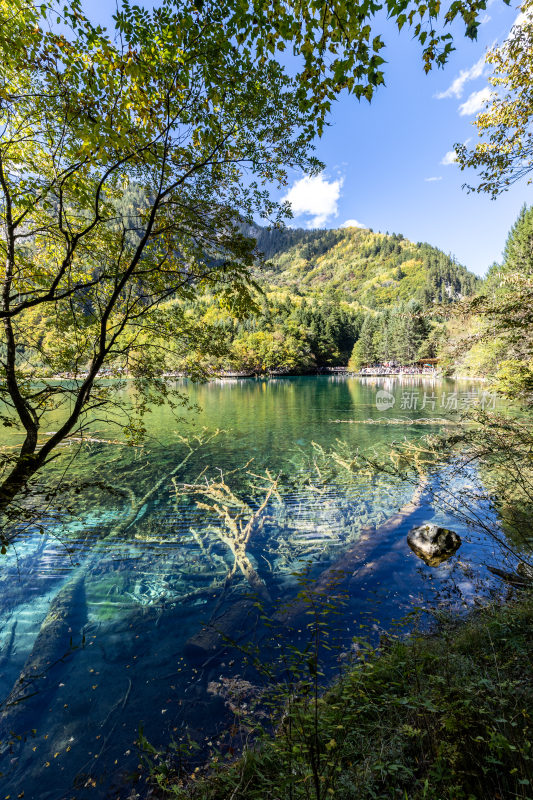 九寨沟五花海