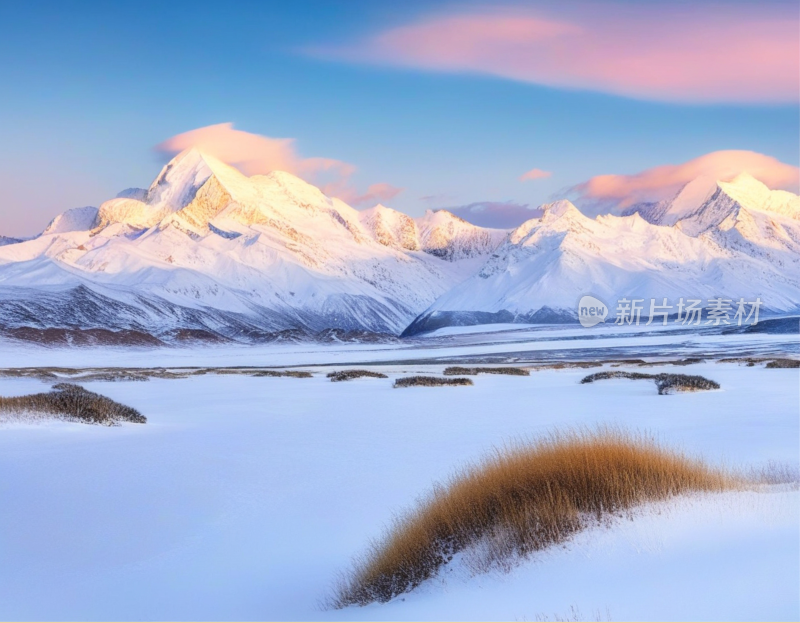 高山雪地