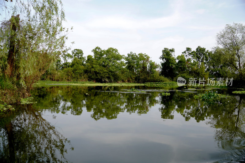 桂林会仙湿地景观