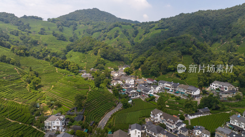 航拍杭州龙井村 西湖龙井茶园