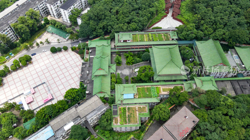 旅游景区湖南益阳栖霞寺航拍