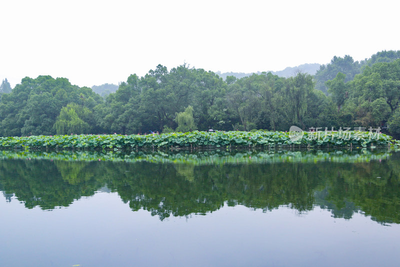 杭州风光 西湖风光