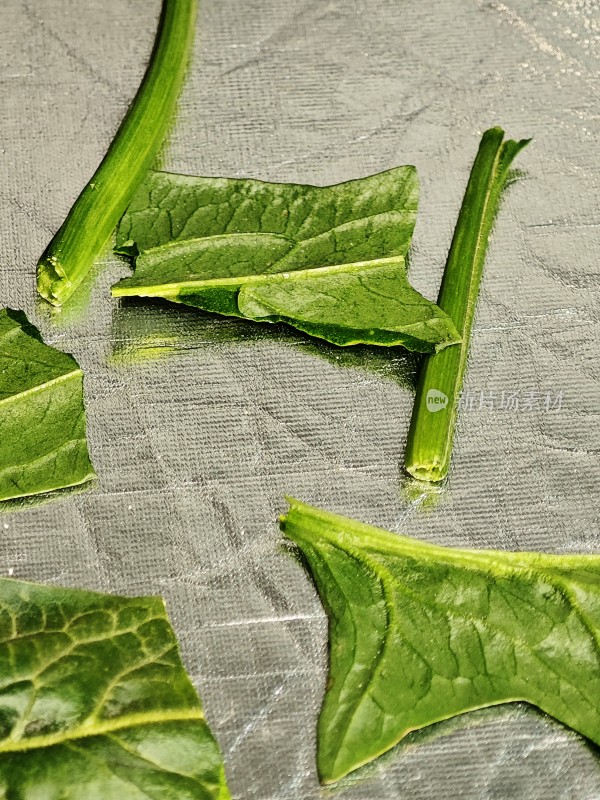 新鲜菠菜叶特写