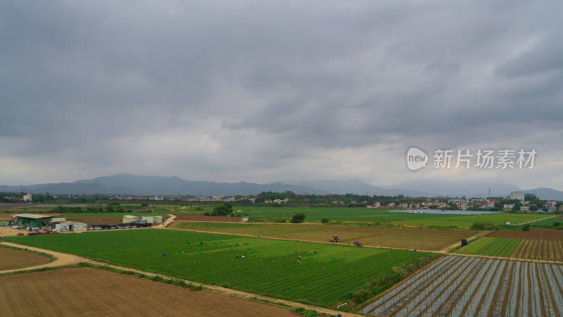 广东区县新农村春季春耕土地农田播种