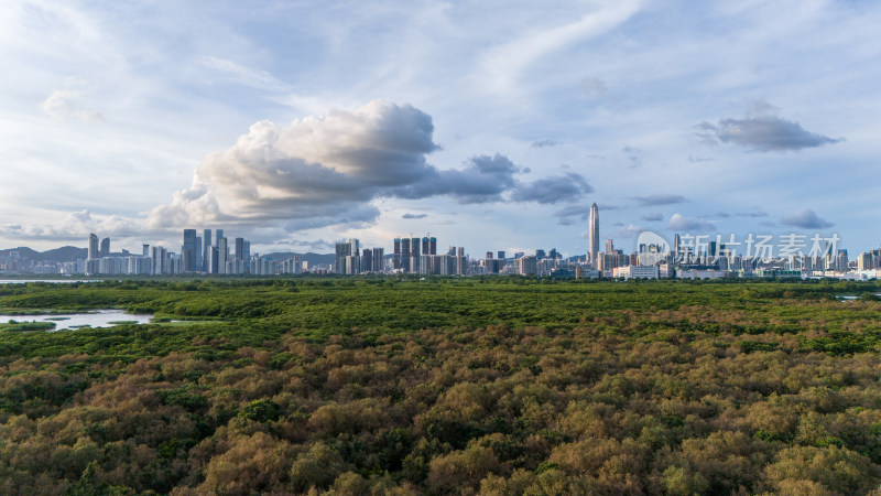 香港米埔自然护理区