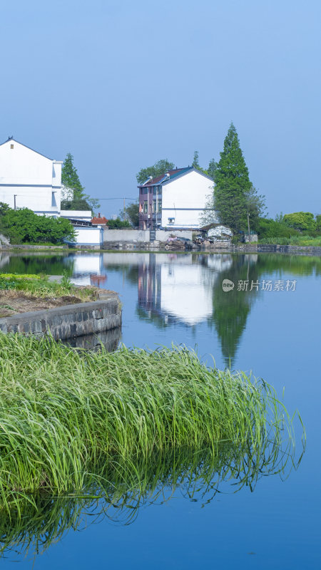 绍兴江南水乡东鉴湖风景