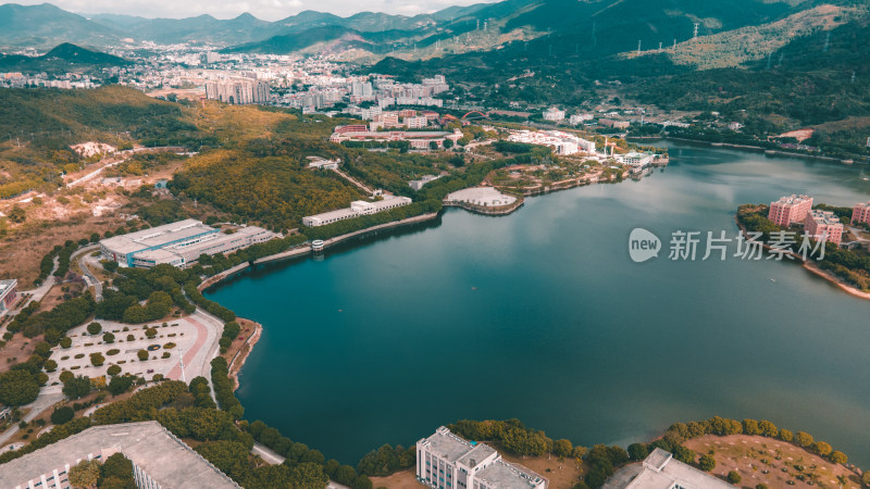 仰恩大学