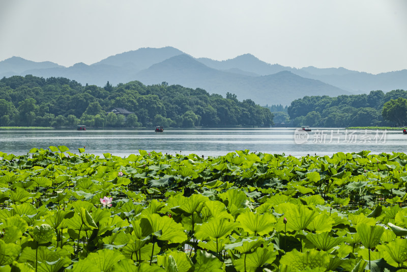 杭州西湖