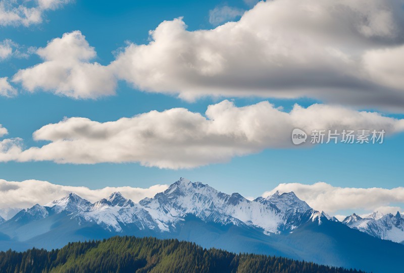 雪山高原草原森林风景