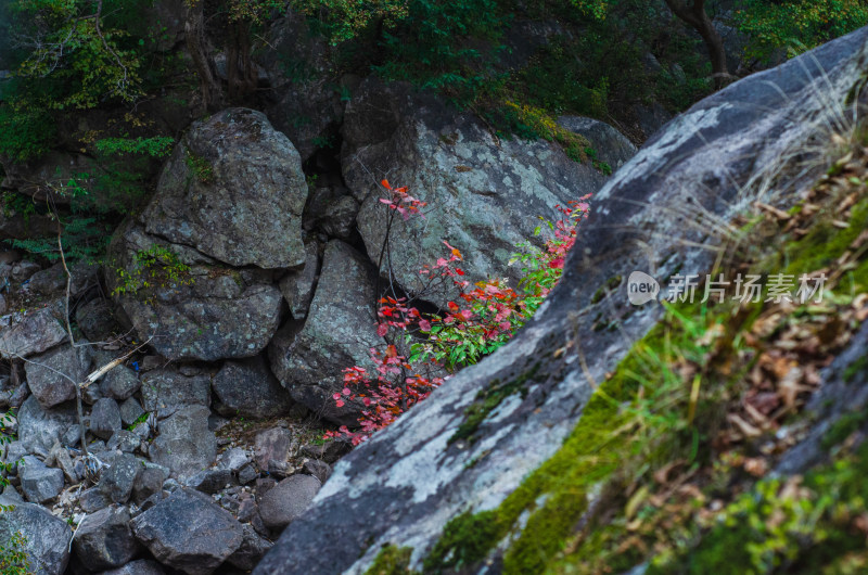 河南省洛阳白云山九龙潭秋天风景