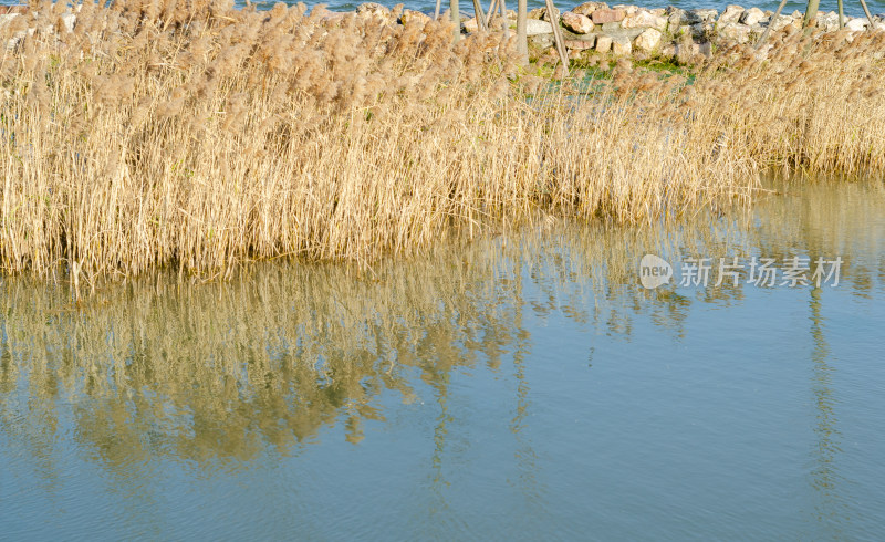 上海市浦东新区临港新城滴水湖景区