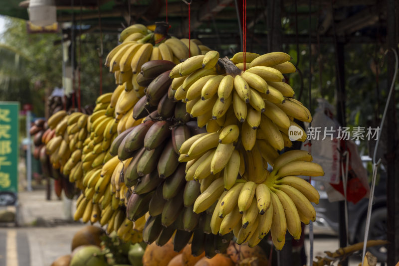 海南热带水果水果摊